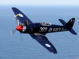 Stu Davidson's Sea Fury