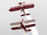 Team Guinot wing walkers