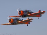 Swartkop_035