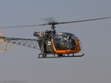 Swartkop_041