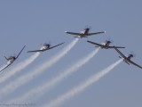 Swartkop_055