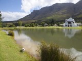 Stellenboschfontein12