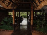 Zululand Tree lodge009