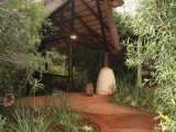 Zululand Tree lodge014