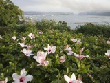 Wes_43 - Knysna