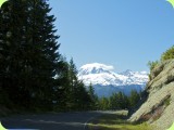 Mt Rainier_ 219