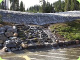 Mt Rainier_ 287